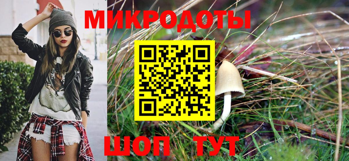 Галлюциногенные грибы Psilocybe  Вход с VPN  наркошоп  Брянск  Галлюциногенные грибы мухоморы 